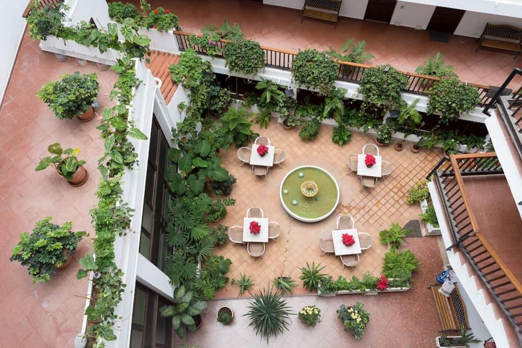 Prime Homes Muelle Apartament Puerto de la Cruz (Tenerife)